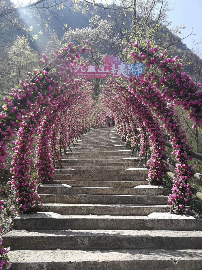 疫后首发团九皇山花溪景一日游