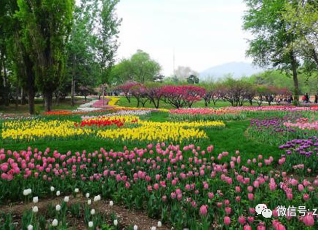 芦山、木梯羌寨、猴山飞瀑、秀美大川避暑养生旅居7日游_其它_豪门国际官网