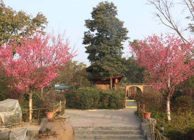 新义水乡中医药浴康养、黄龙溪古镇二日游_其它_豪门国际官网