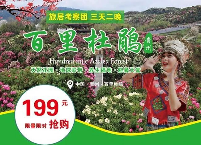 百里杜鹃旅居考察团3天2晚_海内旅游_豪门国际官网