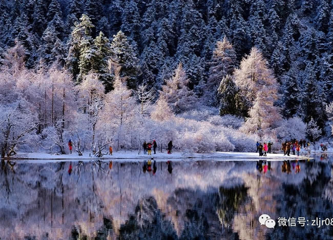 相约在冬季—赏雪线路推荐_其它_豪门国际官网