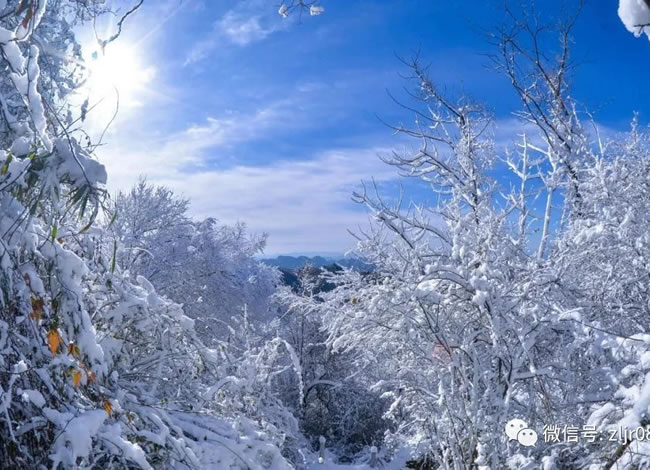 相约在冬季—赏雪线路推荐_其它_豪门国际官网