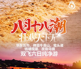 华东五市、 禅意牛首山、鼋头渚、钱塘观潮 水乡乌镇双飞六日纯净游