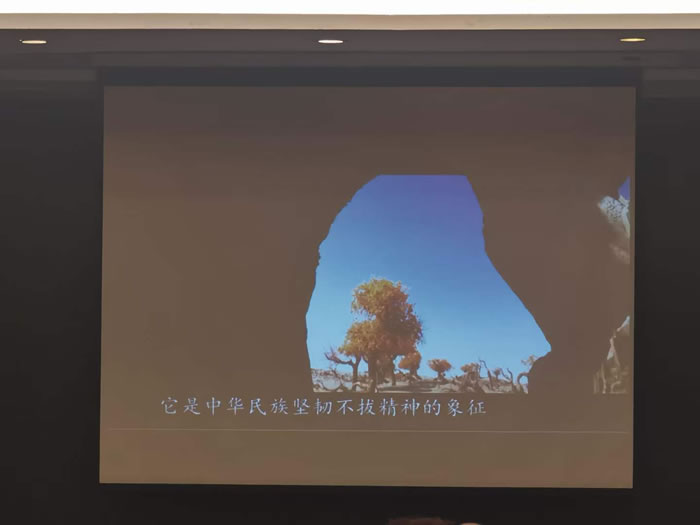 绵阳豪门国际官网行沐日旅行社举行胡杨林、南疆专列推荐会