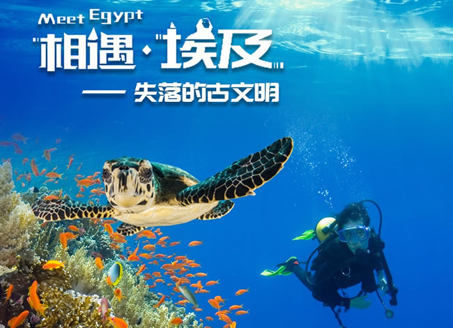 埃及阿联酋纯玩11日游_出境旅游_豪门国际官网