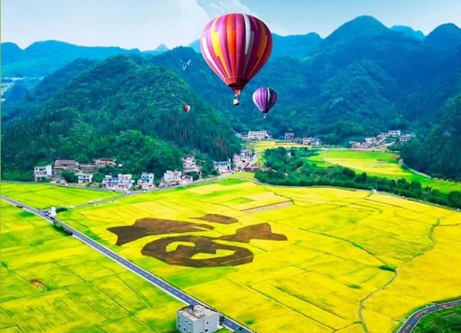 开往春天的列车—贵州赏花品质5日游_海内旅游_豪门国际官网
