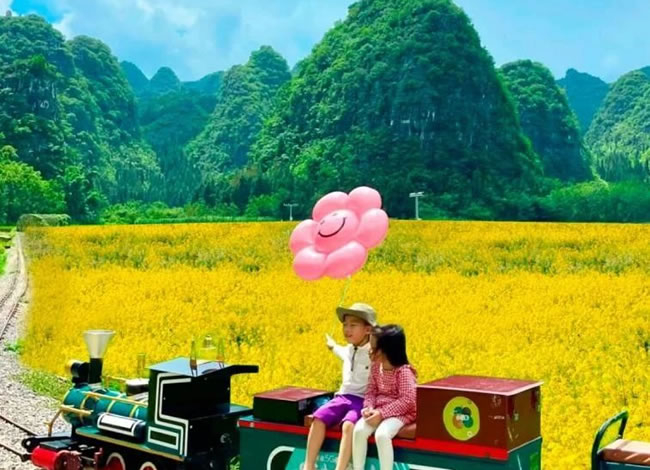 开往春天的列车—贵州赏花品质5日游_海内旅游_豪门国际官网