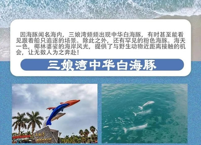 防城港万尾金滩海滨度假12日游_海内旅游_豪门国际官网