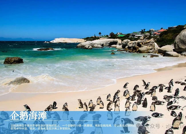 绝美南非—初见系列双飞8日_出境旅游_豪门国际官网