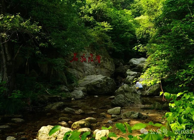 问鼎中原—河南全境纯玩双卧8日游_海内旅游_豪门国际官网