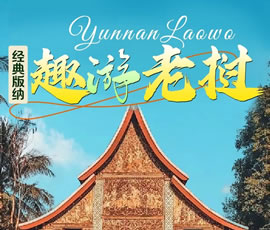 【趣游老挝 · 经典版纳】—昆明、普洱、西双版纳、磨丁、琅勃拉邦四动8日游