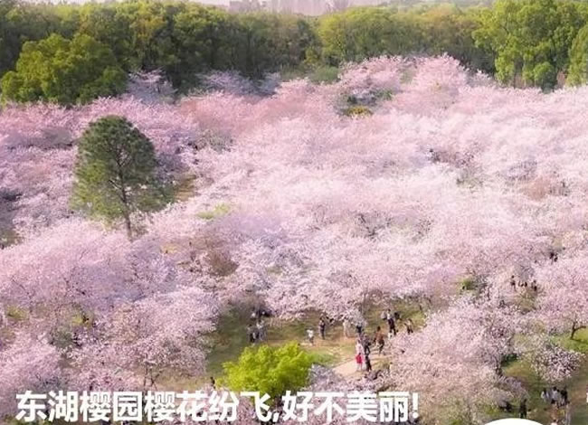 湖北全境双飞双船8日游_海内旅游_豪门国际官网