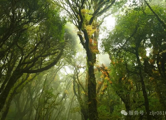 哀牢山、建水、蒙自、普者黑、弥勒、泸西红土地8日游_海内旅游_豪门国际官网