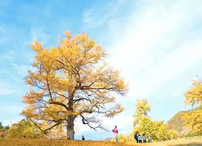 秦岭秘境-火车7日游_海内旅游_豪门国际官网